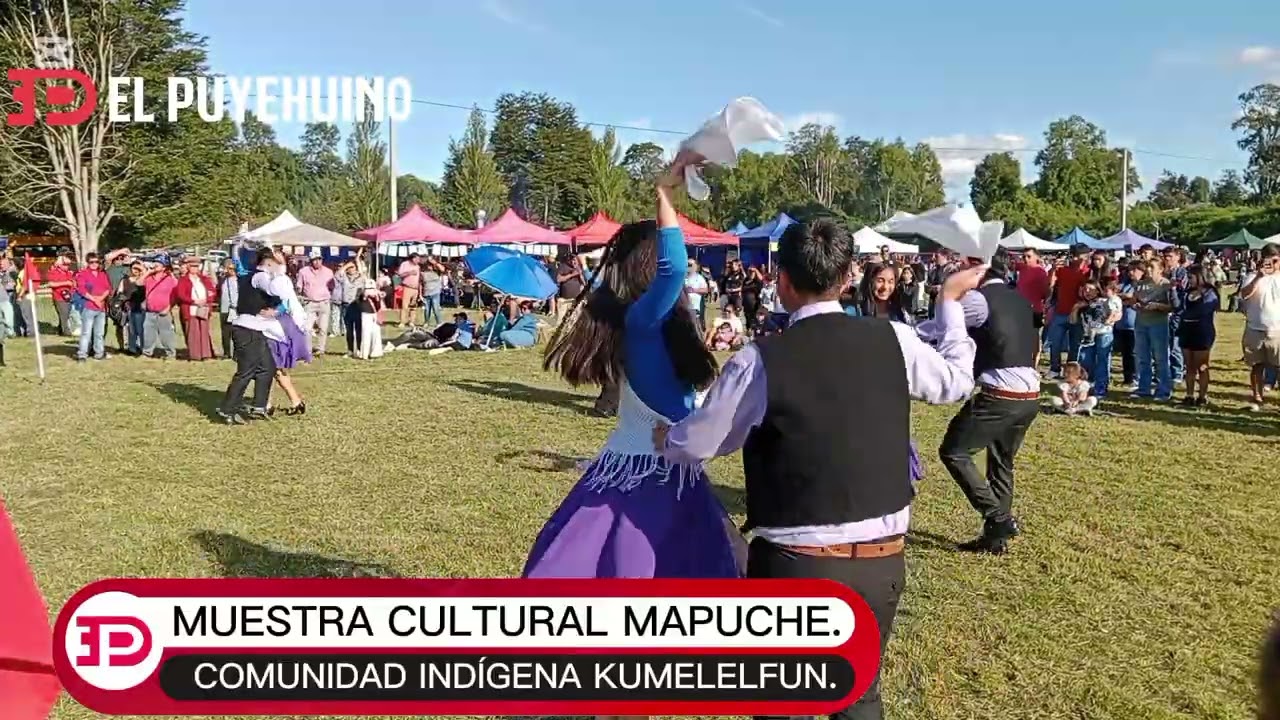 #Puyehue MUESTRA CULTURAL MAPUCHE DE LA COMUNIDAD INDÍGENA KUMELELFUN DEL DESAGÜE RUPANCO 15/02 2026