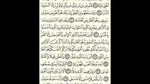 سورة النجم     الشيخ مقدام الحضرى www YalaDreAm com