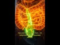 How Your Body Absorbs Nutrients