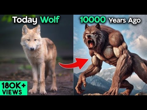 Most powerful animals