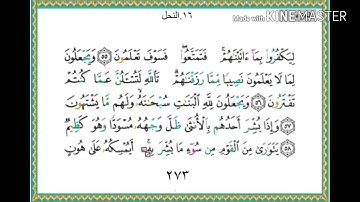 سورة النحل - من آية ( ٥٥ ) إلى آية ( ٦٤ ) - للقارئ : ياسر الدوسري .