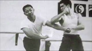 Dan Lee & Bruce Lee Jeet Kune Do screenshot 5