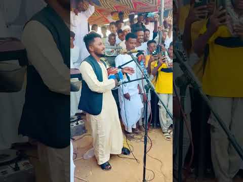 الفنان هاشم ود ربوب 2026