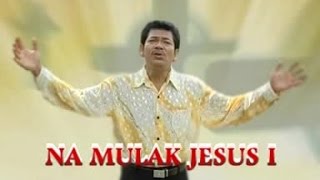 Posther Sihotang - Na Mulak Jesus I ( Musik Video)