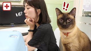 Bongji went to see his doctor! Bongji is so scared of going outside!