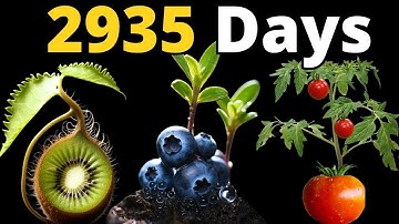 8 YEARS of Growing Plants in TIMELAPSE (Compilation)