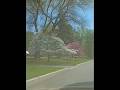 hey #drive #car #neighborhood #colors #nature