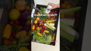 Bảo Quản Thế Này Theo Các Bác Có Ổn Không??