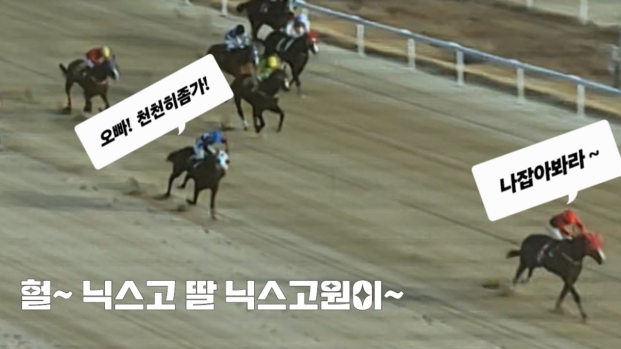 이렇게 대차이로 아작날줄은 몰랐다!(1/23 부산경마 6경주 하일라이트)