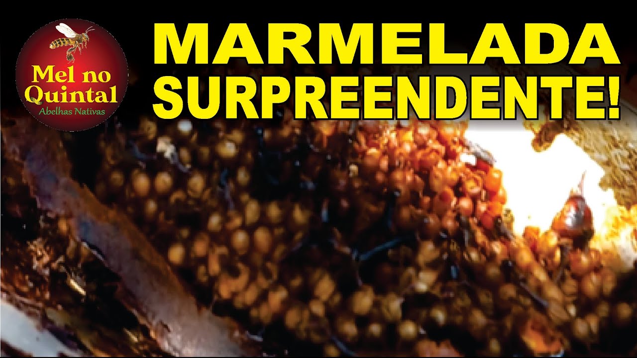 MARMELADA NA CAIXA DE LEITE, SURPREENDENTE!