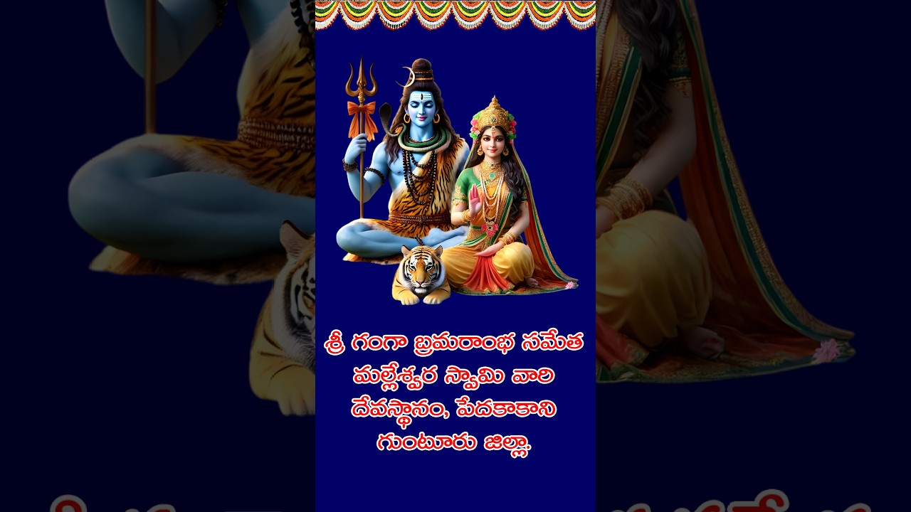 శ్రీ మల్లేశ్వర స్వామి వారి దేవస్థానం, పెదకాకాని