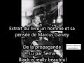 Extrait du livre un homme et sa pensée de Marcus Garvey : La propagande