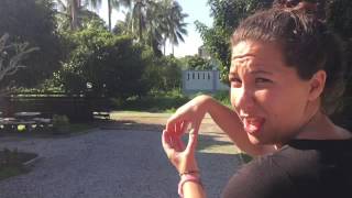 World Race Cribs - Thailand Thunderbirds