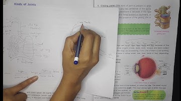 DAV Class-5 (My Living World) Science Ch-1 My Body Part-4 /Human  Sense Organs in Detail