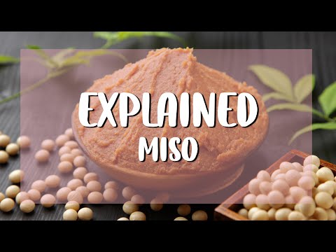 توضیح داده شده | همه چیز درباره MISO | MISO چیست | MISO چگونه ساخته می شود؟ | نحوه انتخاب MISO مناسب برای شما