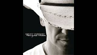 You and Tequila - Kenny Chesney (with Grace Potter)