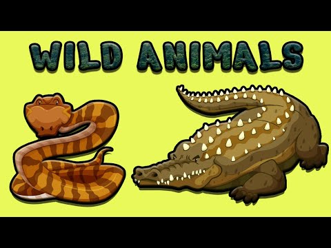 7.SINIF İNGİLİZCE 4.ÜNİTE KONU ANLATIMI VE KELİMELERİ | WILD ANIMALS | İNGİLİZCE VAHŞİ HAYVANLAR