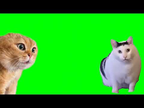 もしかしたら逆だったかもしれねぇ