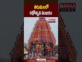 తిరుమలలో రథోత్సవ సంబరం | Rathotsavam celebrations at Tirumala| Mahaa News