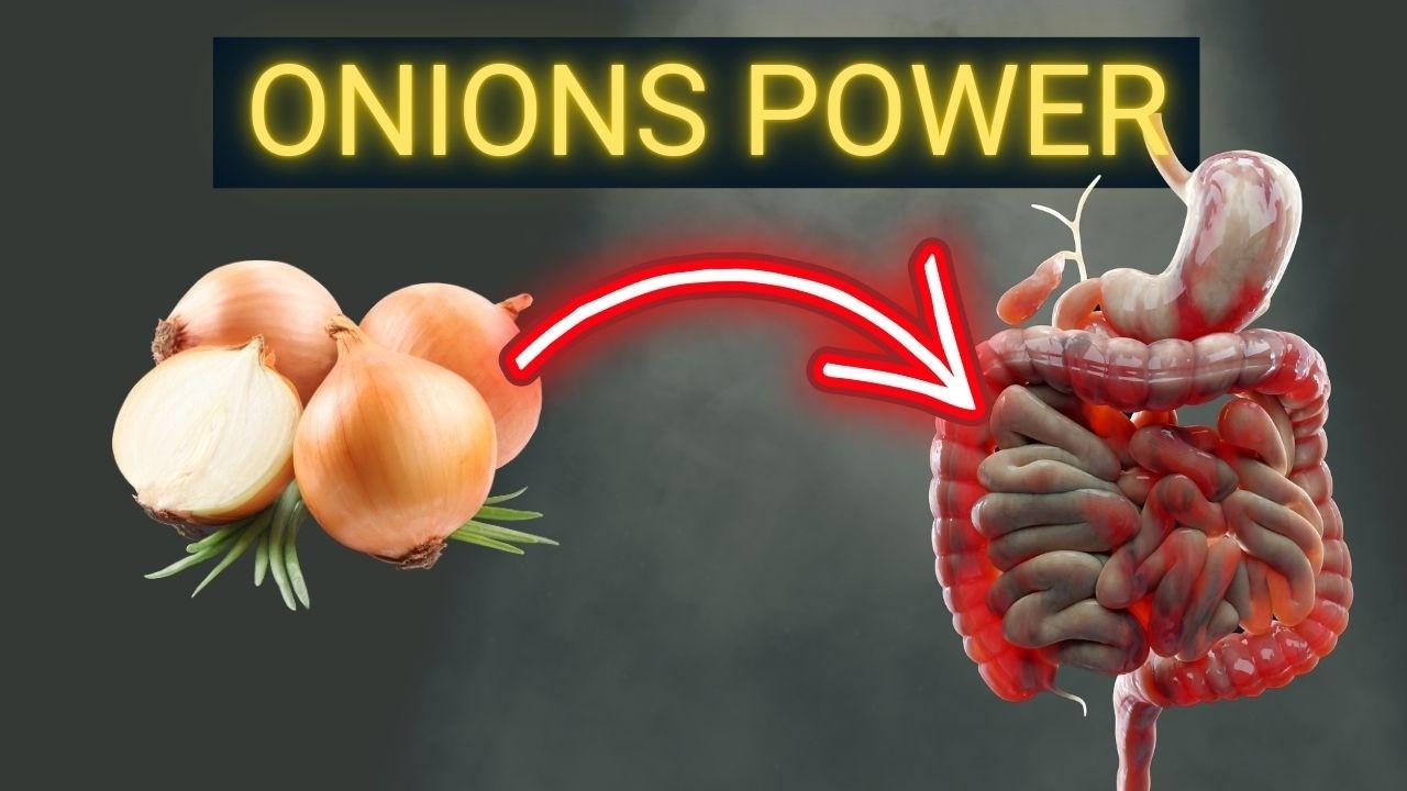 Goodbye Bloating and Constipation! Discover How Onions Regulate Your