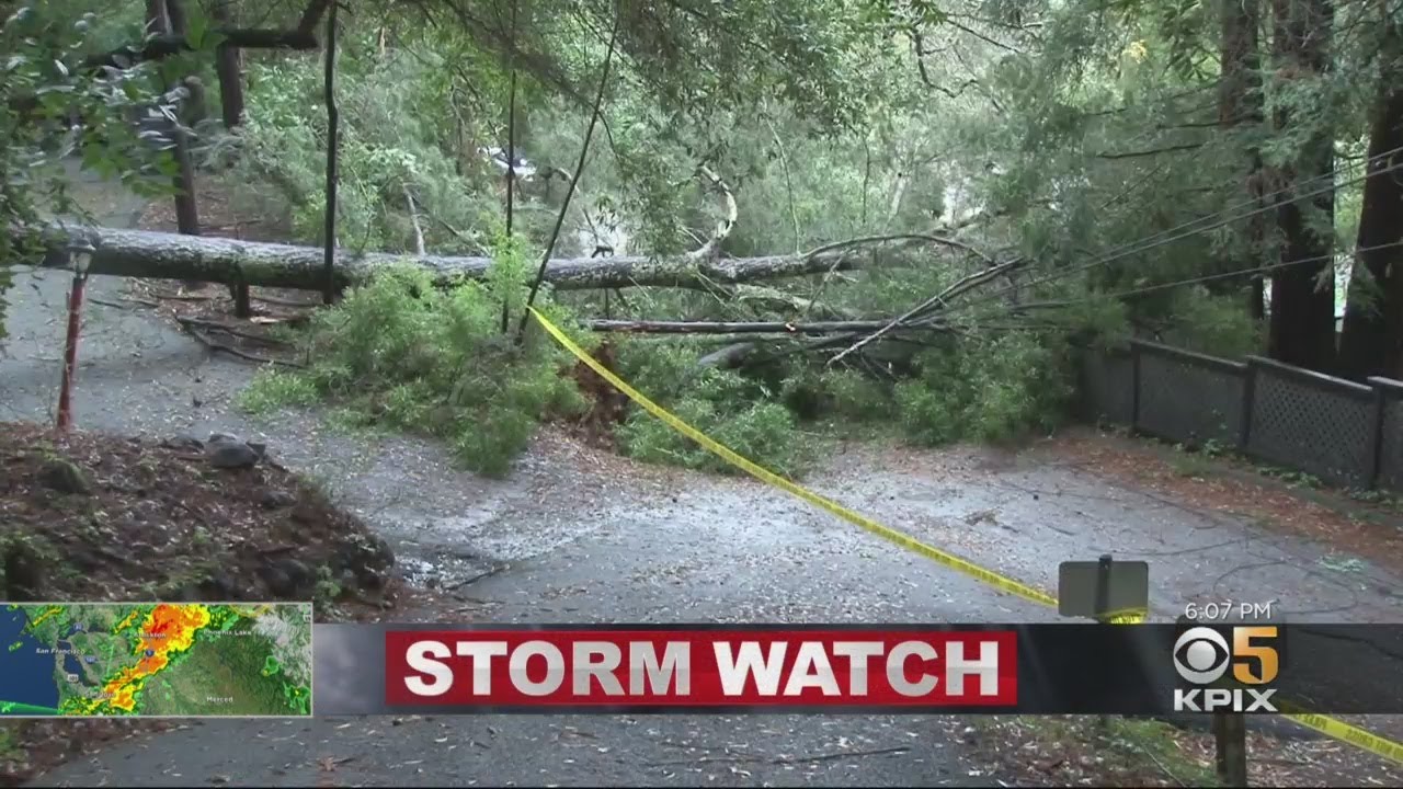 Bay Area Gets A Drenching As Storm Brings Flooding, Downed Trees - YouTube