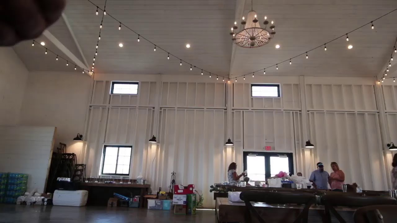 Andy Scherrer Live Stream