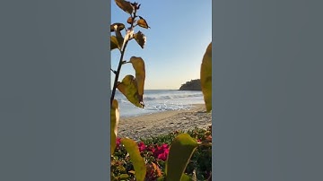 الآية 82 و83 من سورة يس #سورة_يس #ماهر_المعيقلي #livesalaam