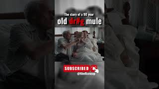 The Mule Part-3 Torn Family Ties Earls Race Against Time For Reunion