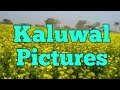 Kaluwal pictures