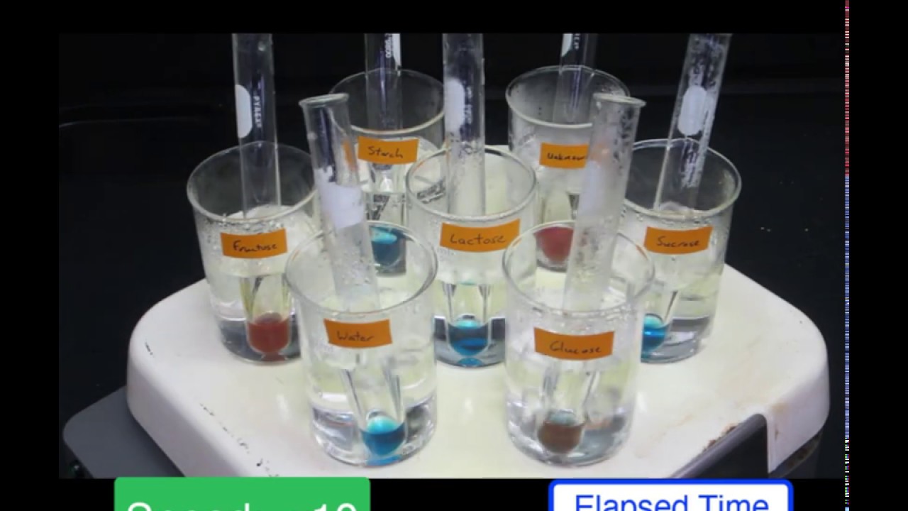 CHM 132 / Lab 30 / Test for Carbohydrates / Part A: Benedict's Test ...