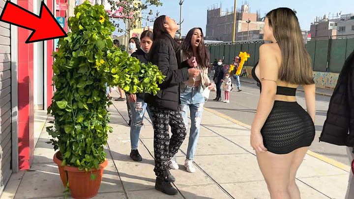 Recopilación - las mejores reacciones con el hombre árbol 😬🤣