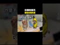 女朋友每天都会说的话#cheems #cheems小剧场 #搞笑 #funny #熱門