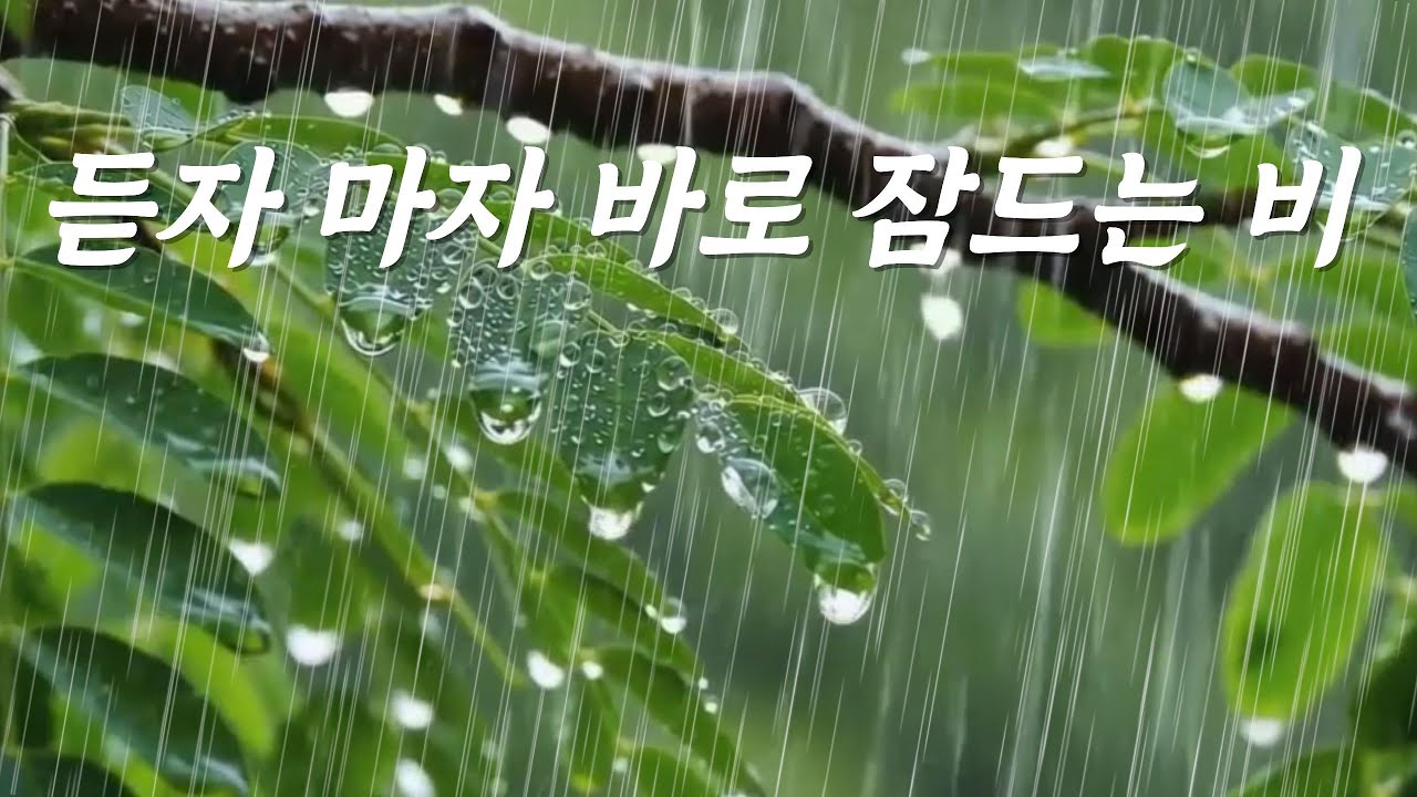 듣자마자 바로 잠드는 산속 빗소리, [중간광고없음]10분후 검은 화면, 즉시 잠드는 편안한 수면을 위한 자연의 소리, ASMR