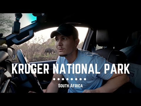 Southern Kruger National Park, South Africa | South to North | Wildlife & Camping