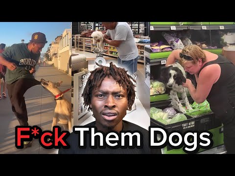 The Dog Fatigue Epidemic