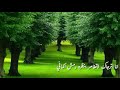 حالات واتس اب انا اترجاك لاتغامر بنظره رمش اكماني تصميم محمدعبده محمدالمخلافي