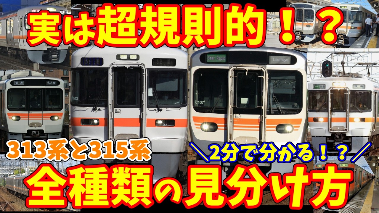 Complete Guide] How to distinguish between all types of 313 and