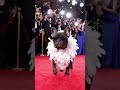 The Most Stylish Dog on theRed Carpet#viral #dog #cutedog