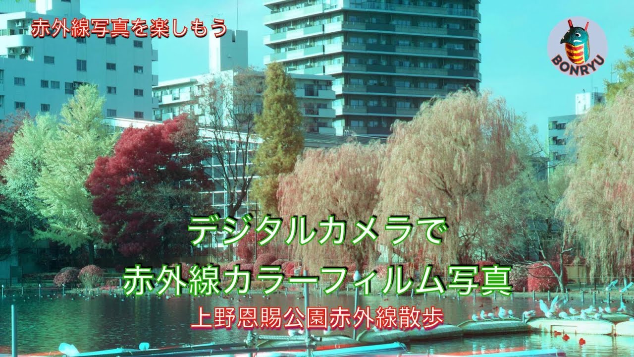 赤外線写真を楽しもう フィルム型フォルスカラー 上野恩賜公園赤外線散歩 Youtube