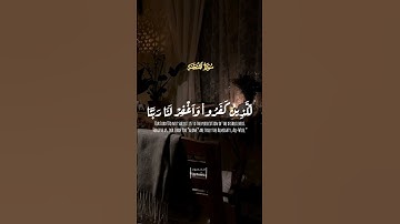 ما تيسر من سورة الممتحنة ❤️‍🩹 #قرآن #قران #القرآن_الكريم #اكسبلور #quran