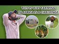 CHALLENGES OF FARMING IN AFRICA TODAY | THE EFFECTS OF BAD ROADS AND FLOOD