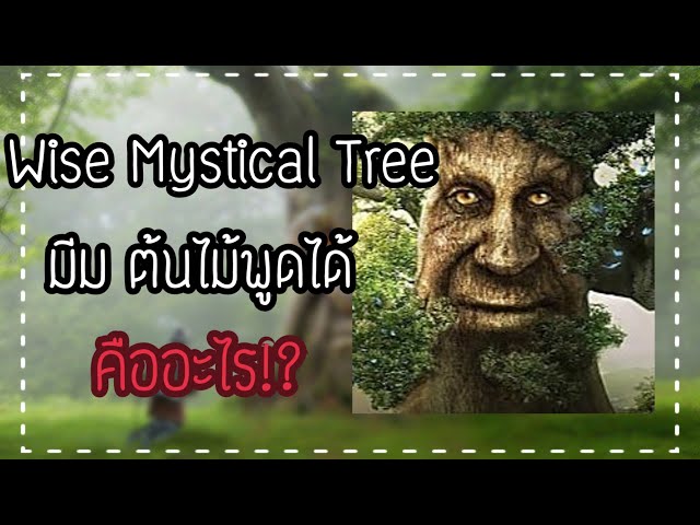 Wise Mystical Tree คืออะไร!? 