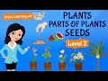 The Vital Role of Plants in Our Ecosystem