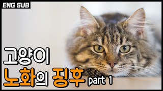Signs of Cat aging 1, Changes in appearance