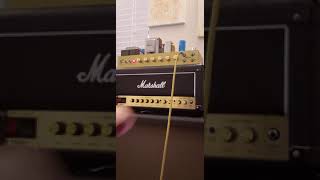 Bringing a Voodoo Amps V Plex in from the cold