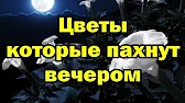 Полтавский Хуторок