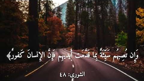 قرآن كريم بصوت القارئ  رعد الكردي    أجمل حالات واتس اب دينيه    تلاوة خاشعة 🌿