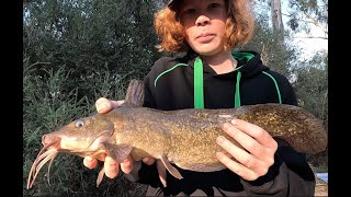 Wimmera river Catfish fishing ! Tips, tricks and plenty of fish !
