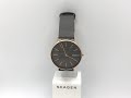 SKAGEN（スカーゲン）SKW2794