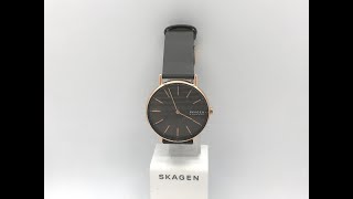 SKAGEN（スカーゲン）SKW2794